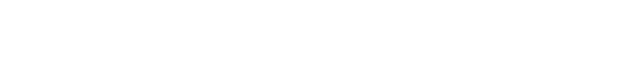 New York Legal Services Authority